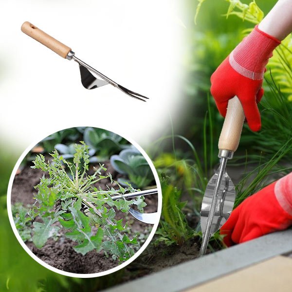 ΠΟΛΥΧΡΗΣΤΙΚΟ ΚΑΘΑΡΙΣΤΙΚΟ ΑΓΡΙΟΧΟΡΤΩΝ - Weedy