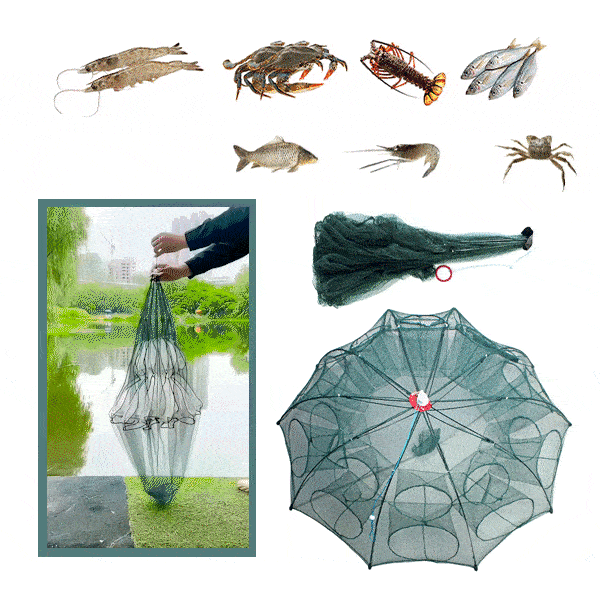 Πτυσσόμενο δίχτυ αλιείας - Fishynet