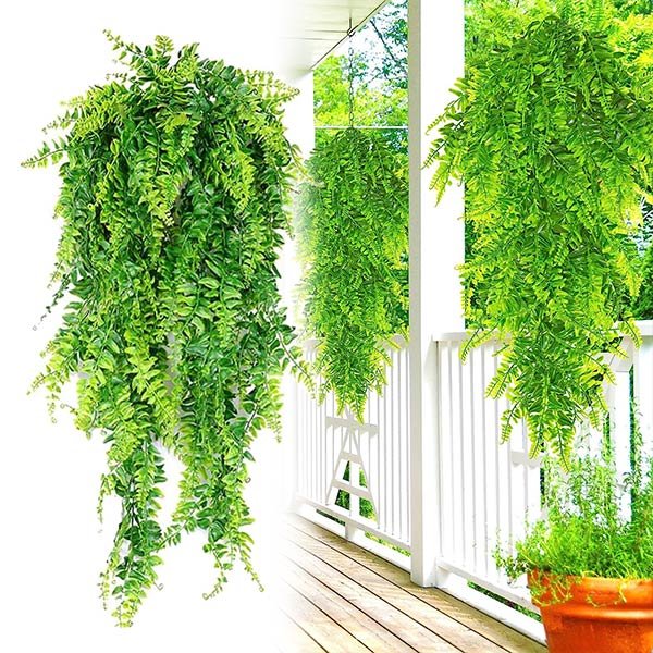 Διακοσμητικό κρεμαστό φυτό - Fernleaves