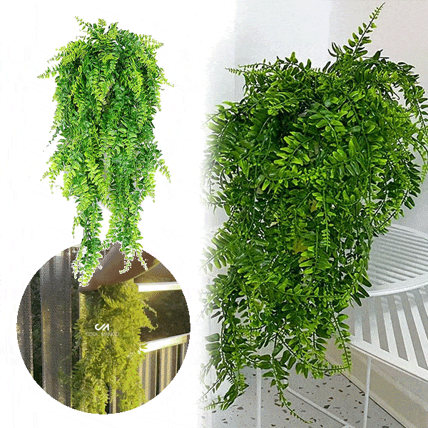 Διακοσμητικό κρεμαστό φυτό - Fernleaves