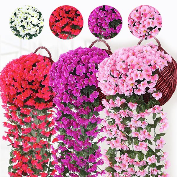 Διακοσμητικό κρεμαστό λουλούδι - Hangyplant